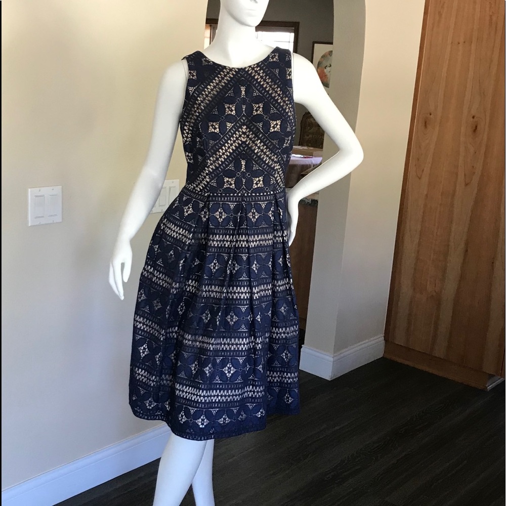 Lace Strip Fit and Flare Dress